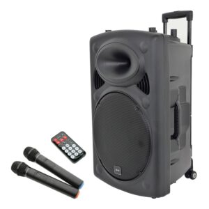 Audio system with mic